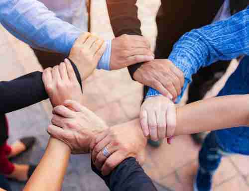 成为蓝狮在线的一份子